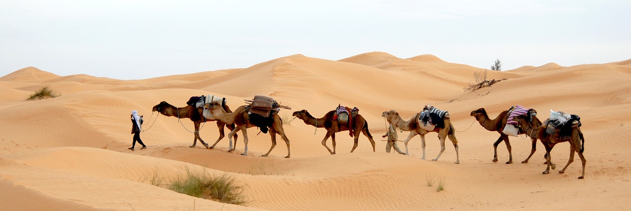 pustynia Tunezja